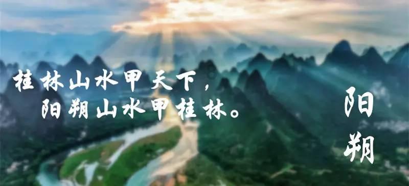 绿萝叶子黄